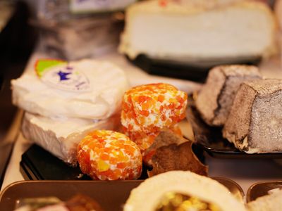 Auswahl Ziegenkäse aus Frankreich